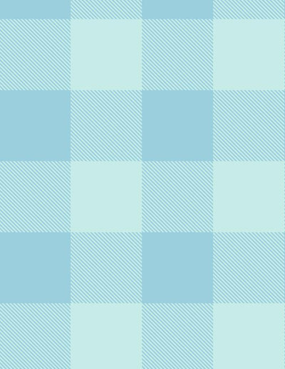 check baby check soft blue