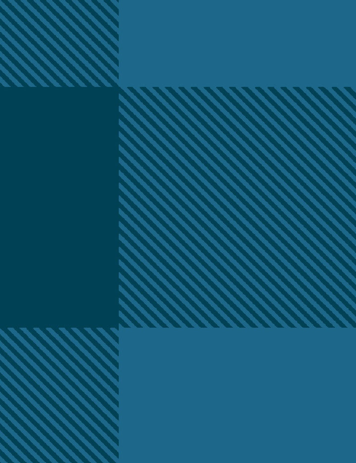 check-baby-check-indigo