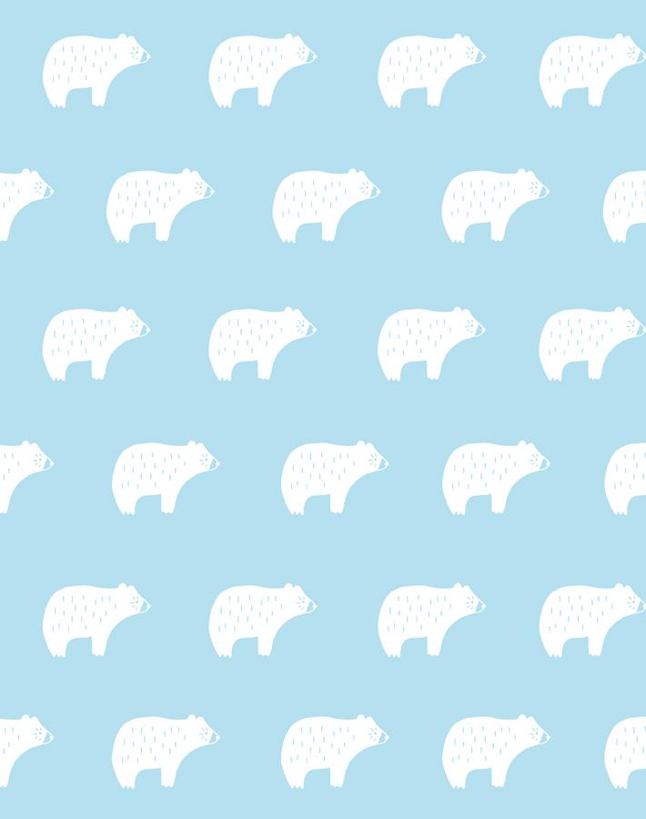 chubby bear baby blue