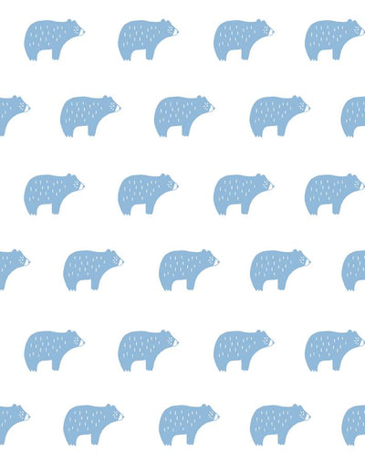 chubby bear cornflower