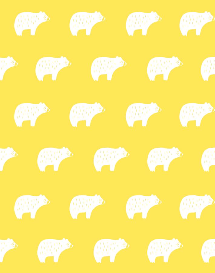 chubby-bear-daffodil