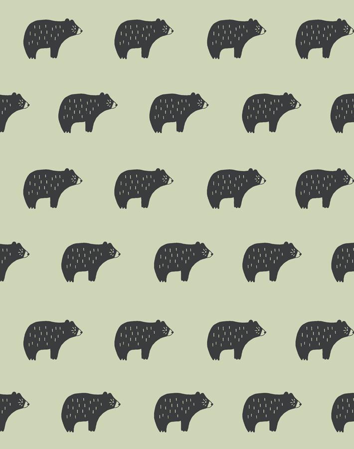 chubby bear pistachio