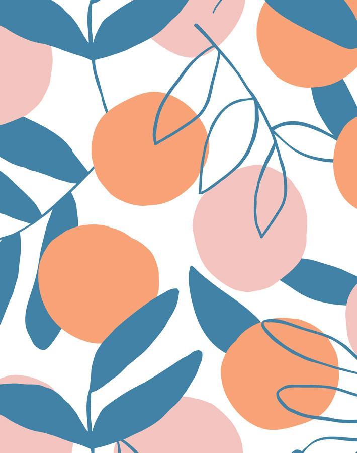 citrus-coral