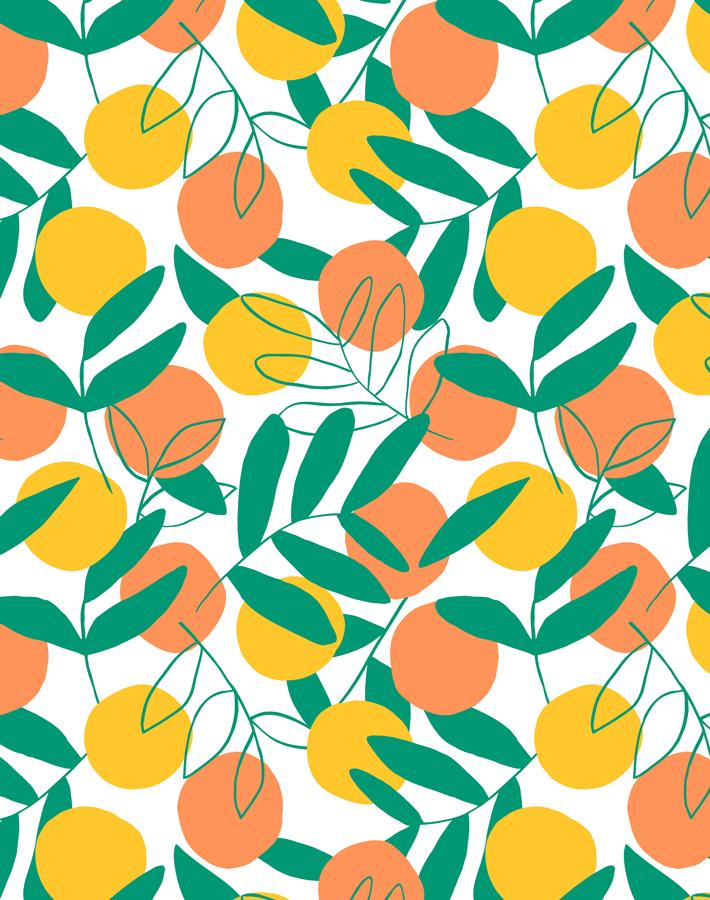 citrus creamsicle