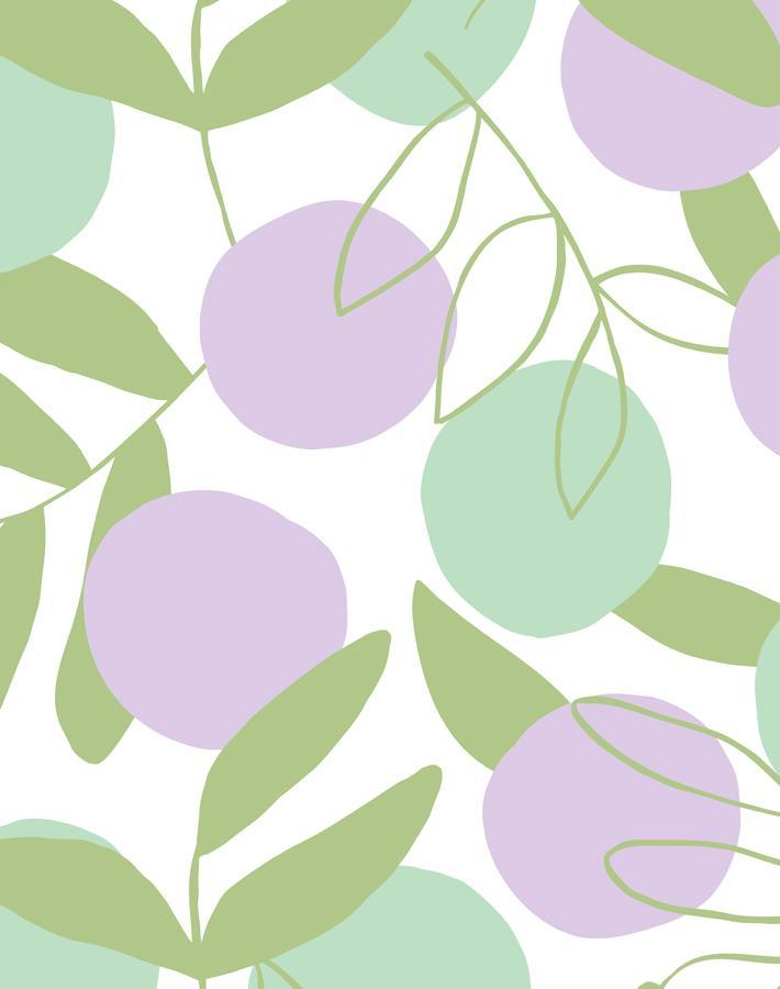 citrus-lavender