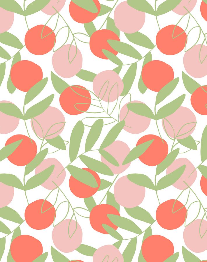 citrus persimmon