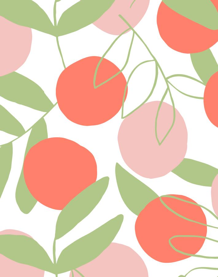 citrus persimmon