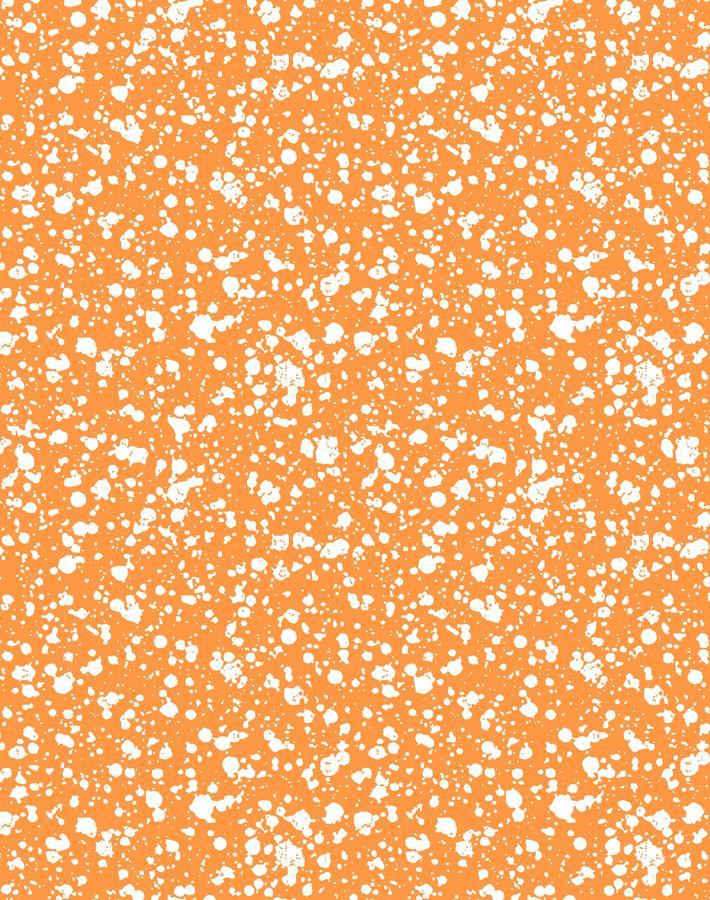 corner-deli-pushpop