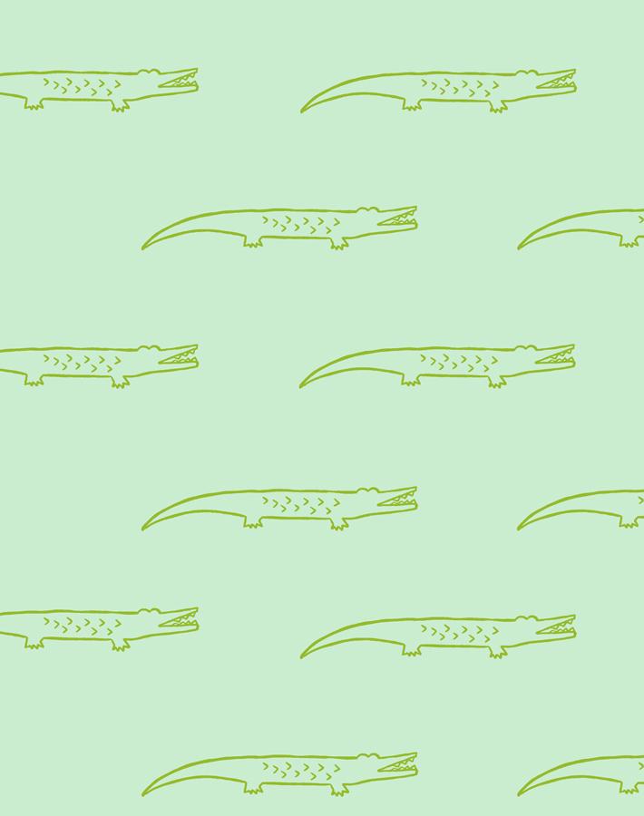 crocodile aventurine