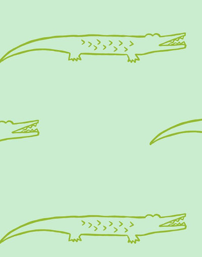 crocodile aventurine