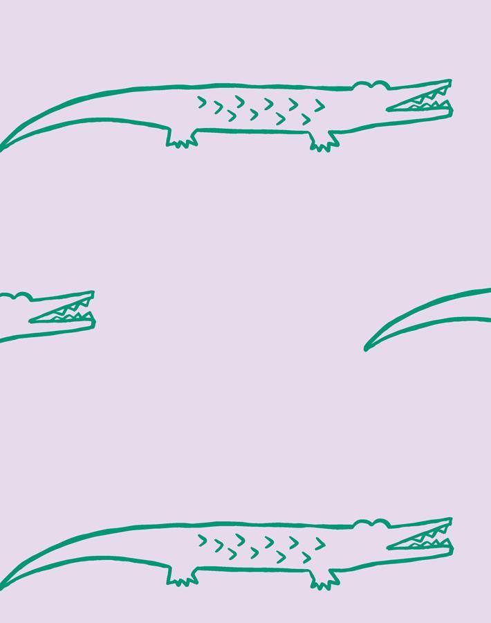 crocodile lavender