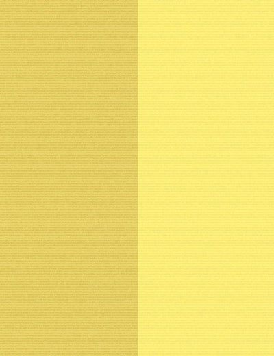 cross the line yellow lemon
