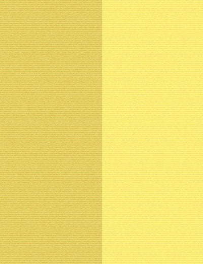 'Cross The Line' Wallpaper by Wallshoppe - Yellow / Lemon