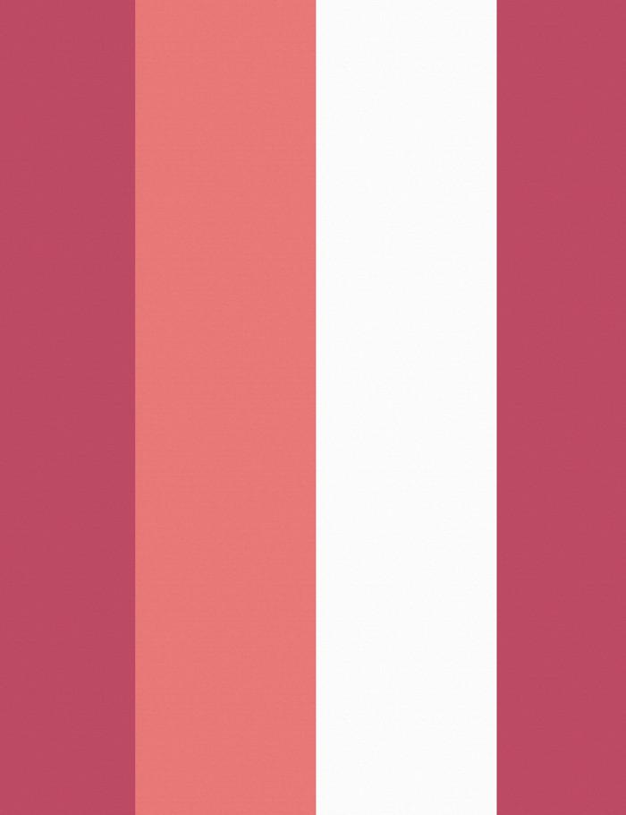 cross-the-line-watermelon-rose