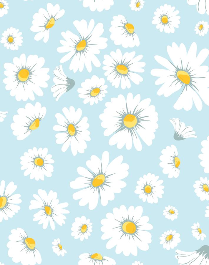 daisy-bloom-baby-blue