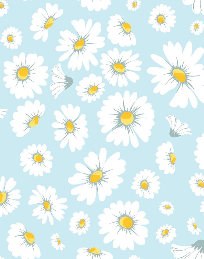 'Daisy Bloom' Wallpaper by Wallshoppe - Baby Blue