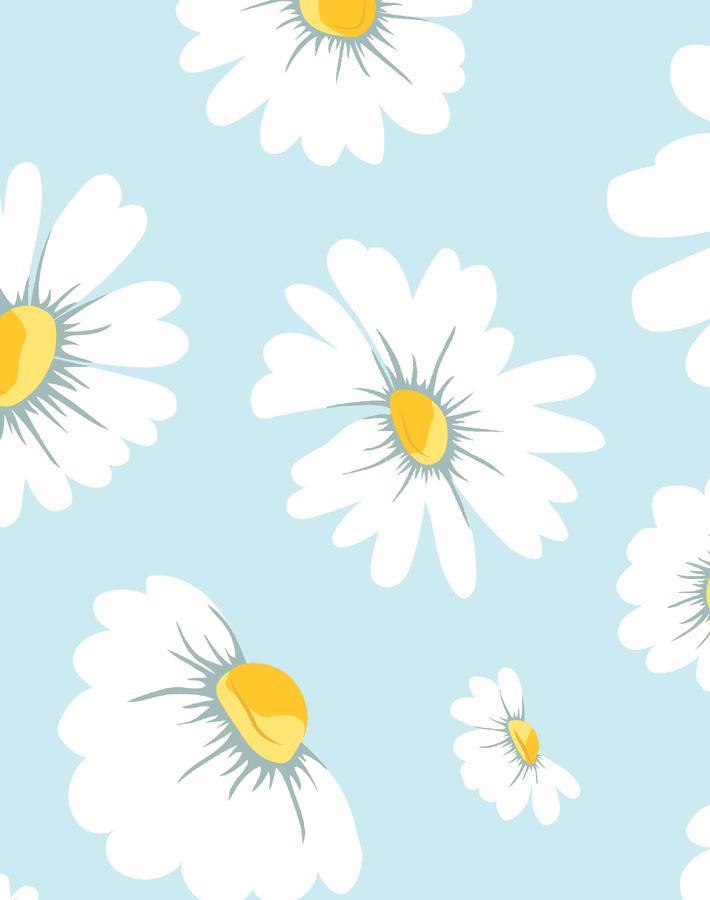 daisy-bloom-baby-blue