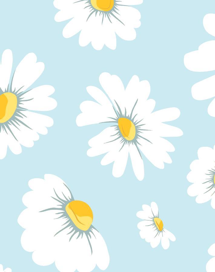 'Daisy Bloom' Wallpaper by Wallshoppe - Baby Blue