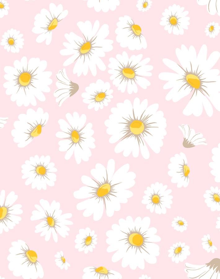 'Daisy Bloom' Wallpaper by Wallshoppe - Ballet Slipper