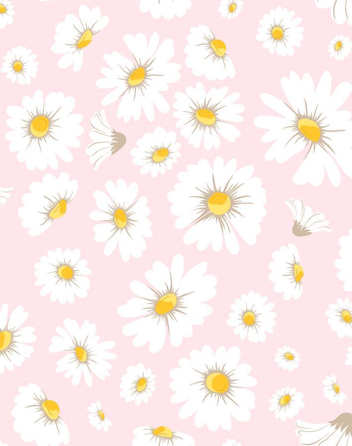 daisy bloom ballet slipper