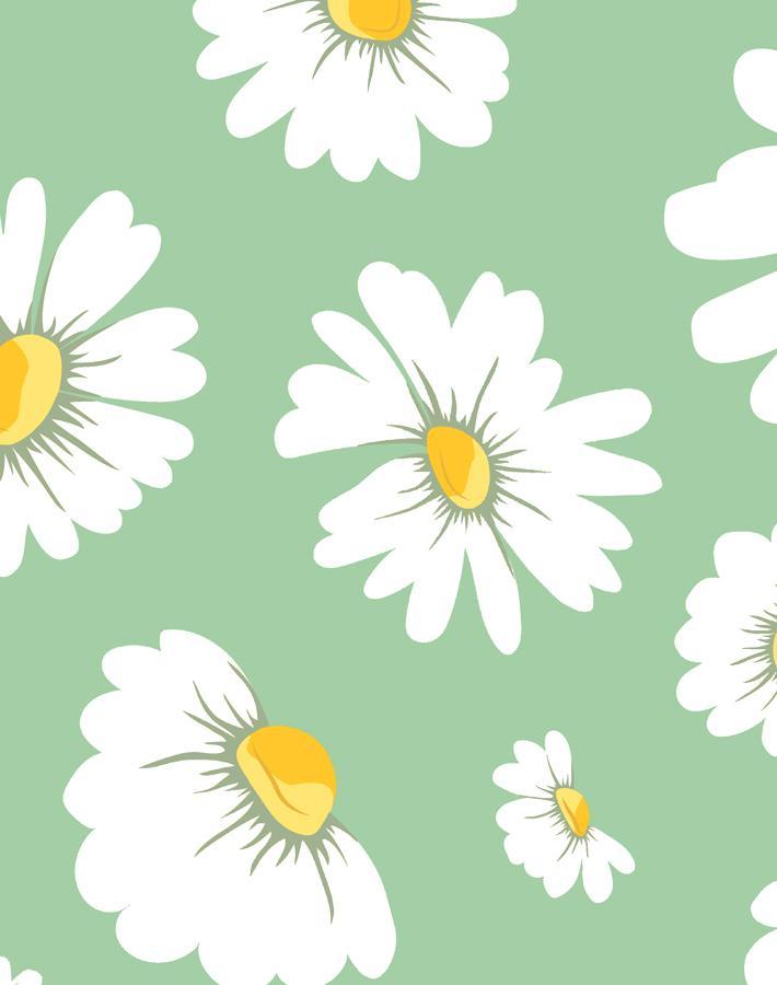 'Daisy Bloom' Wallpaper by Wallshoppe - Green