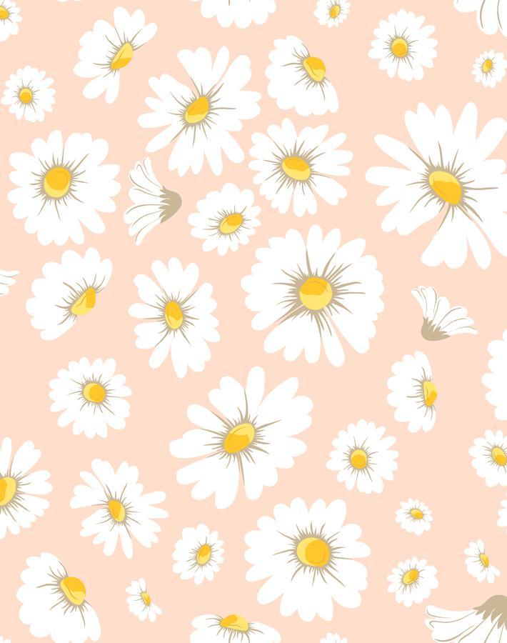 'Daisy Bloom' Wallpaper by Wallshoppe - Peach