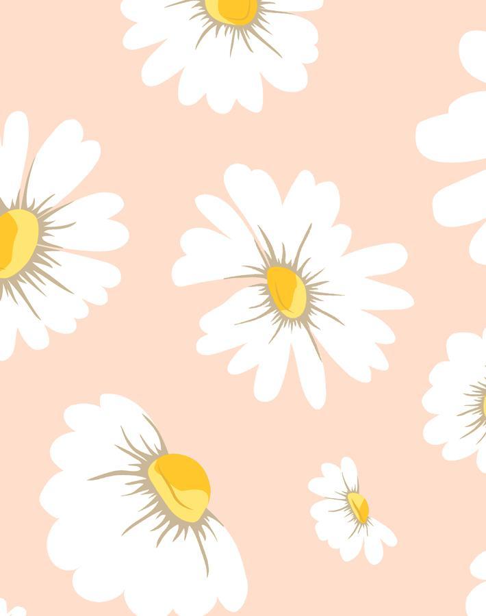 'Daisy Bloom' Wallpaper by Wallshoppe - Peach