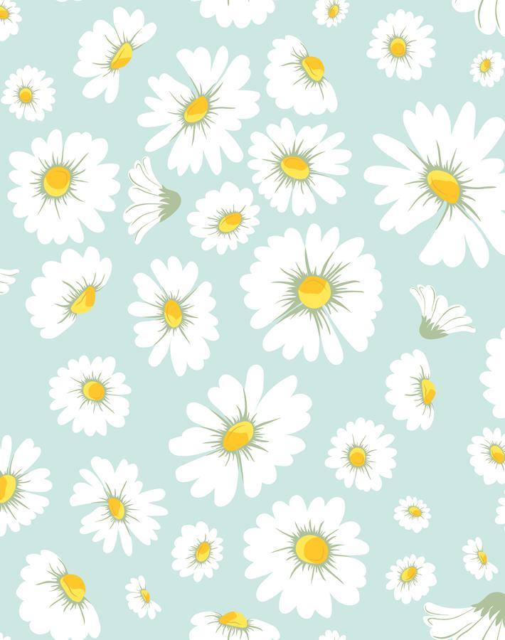 'Daisy Bloom' Wallpaper by Wallshoppe - Seafoam