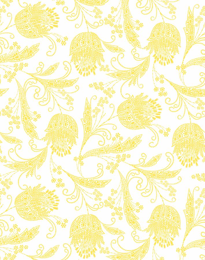 dear prudence daffodil