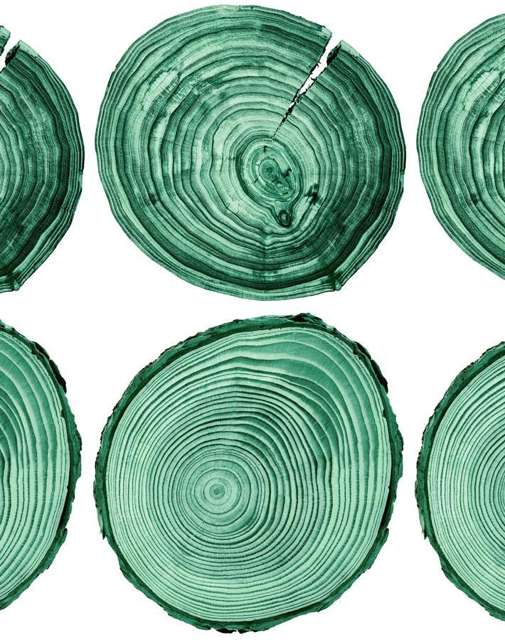 deux-bois-hunter-green