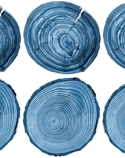 deux bois blue