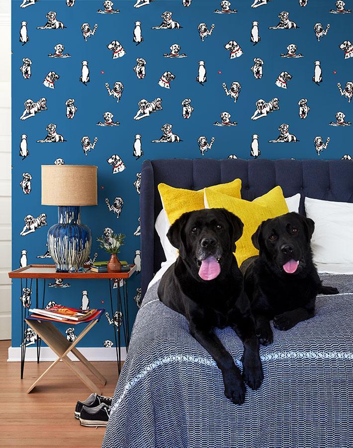 nacho-toile-cadet-blue