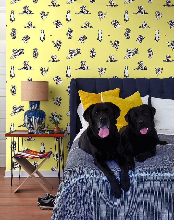 nacho-toile-yellow