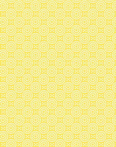 dot dot daffodil
