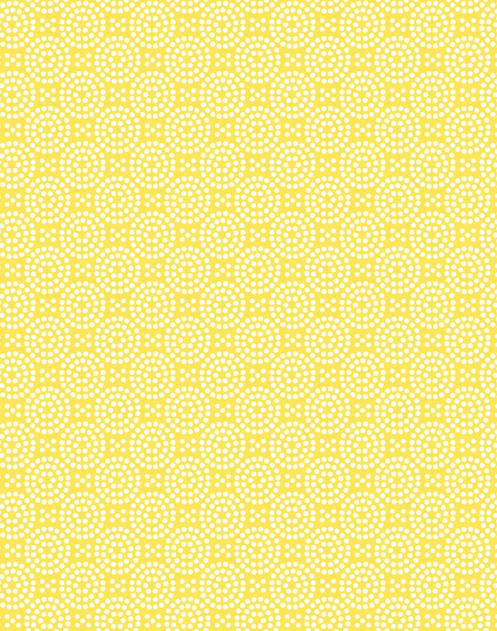 dot dot daffodil