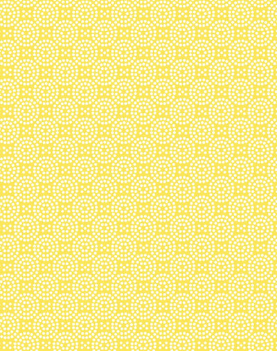dot dot daffodil