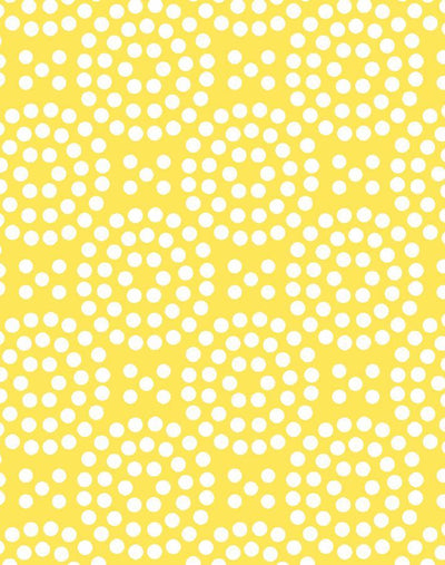 dot dot daffodil