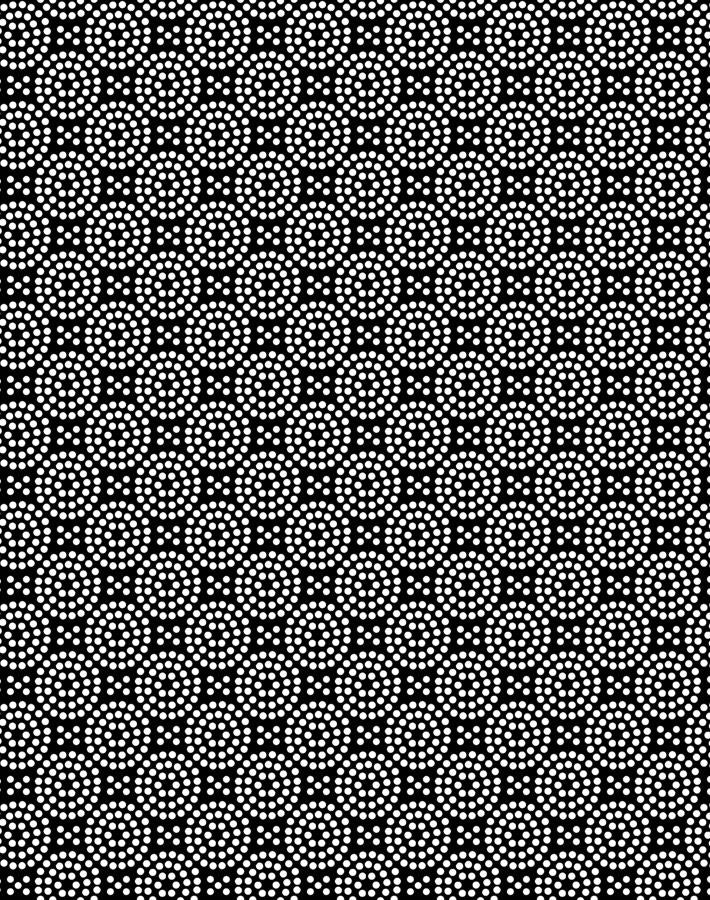 dot dot onyx