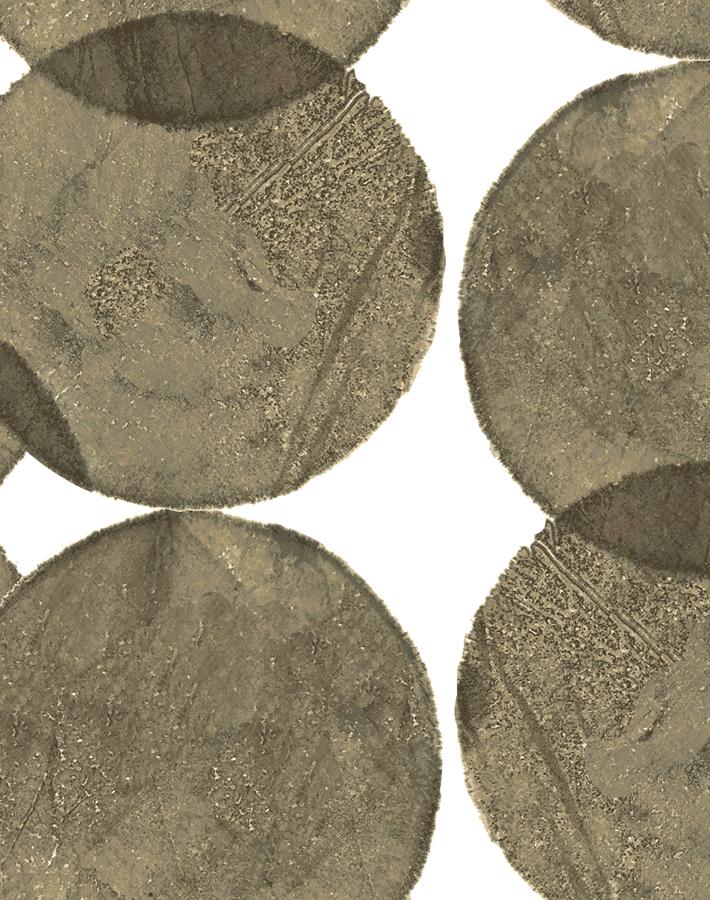 dumbo-small-umber