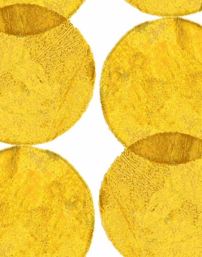 dumbo-small-yellow