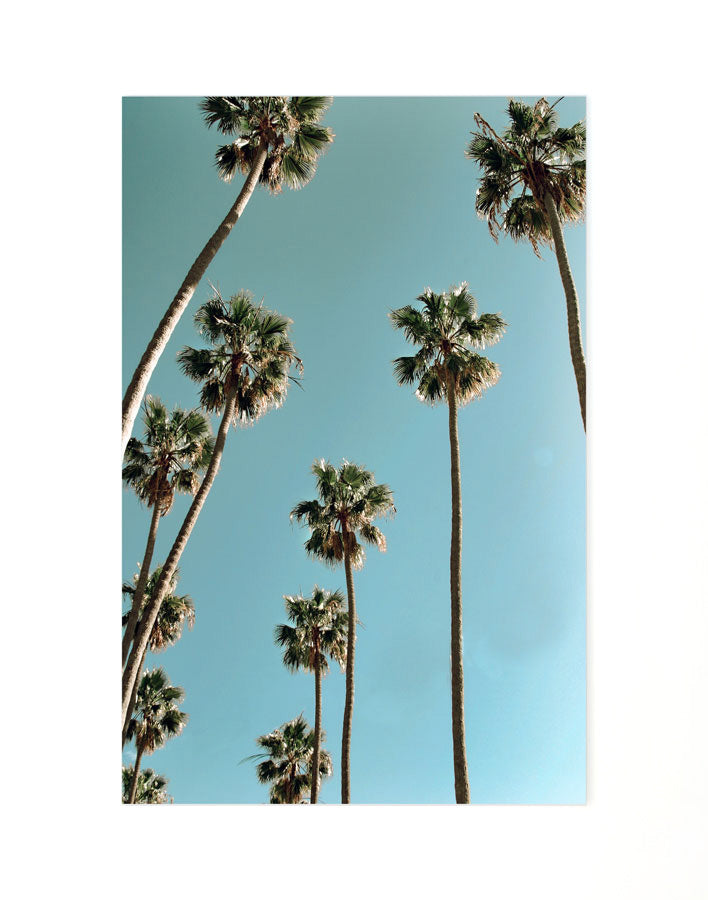 « Echo Park », art encadré par Nathan Turner