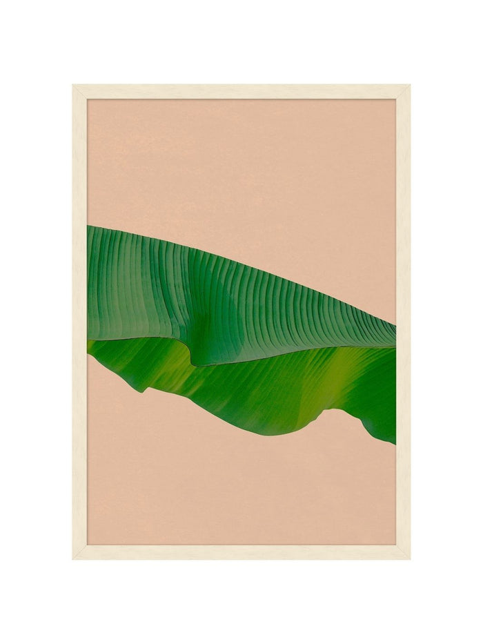 'Editorial Vegitation 1' by Nathan Turner Framed Art