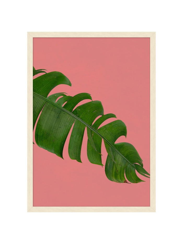 'Editorial Vegitation 3' by Nathan Turner Framed Art
