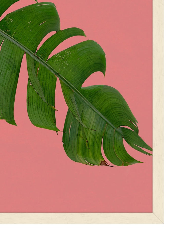 'Editorial Vegitation 3' by Nathan Turner Framed Art