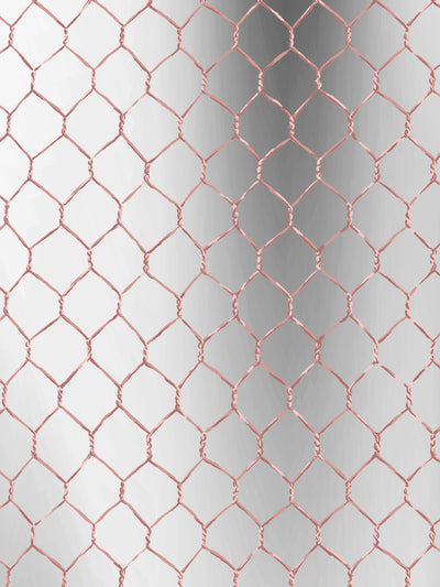 'Evelyn's Chicken Wire' Shiny Silver' Wallpaper by Sarah Jessica Parker - Bleecker Blush on Mirror