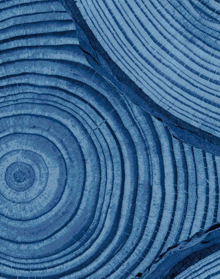 faux-bois-blue