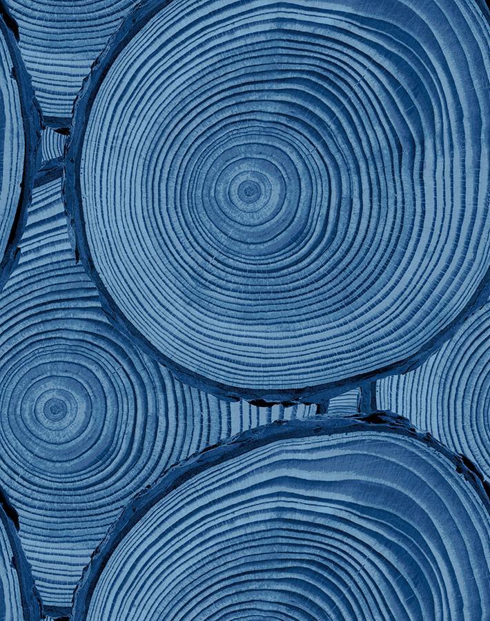 faux-bois-blue