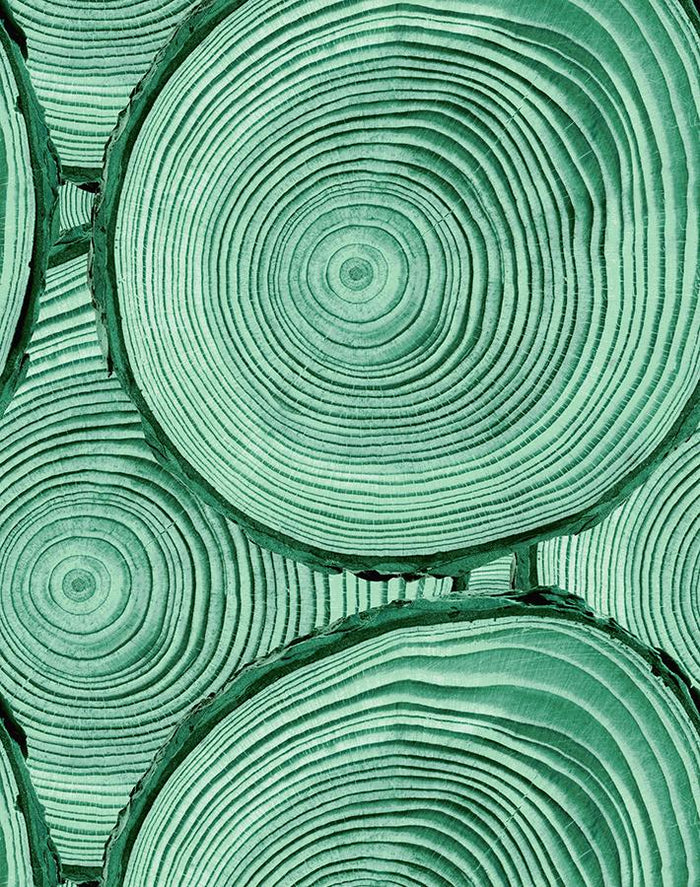 'Faux Bois' Wallpaper by Nathan Turner - Hunter Green