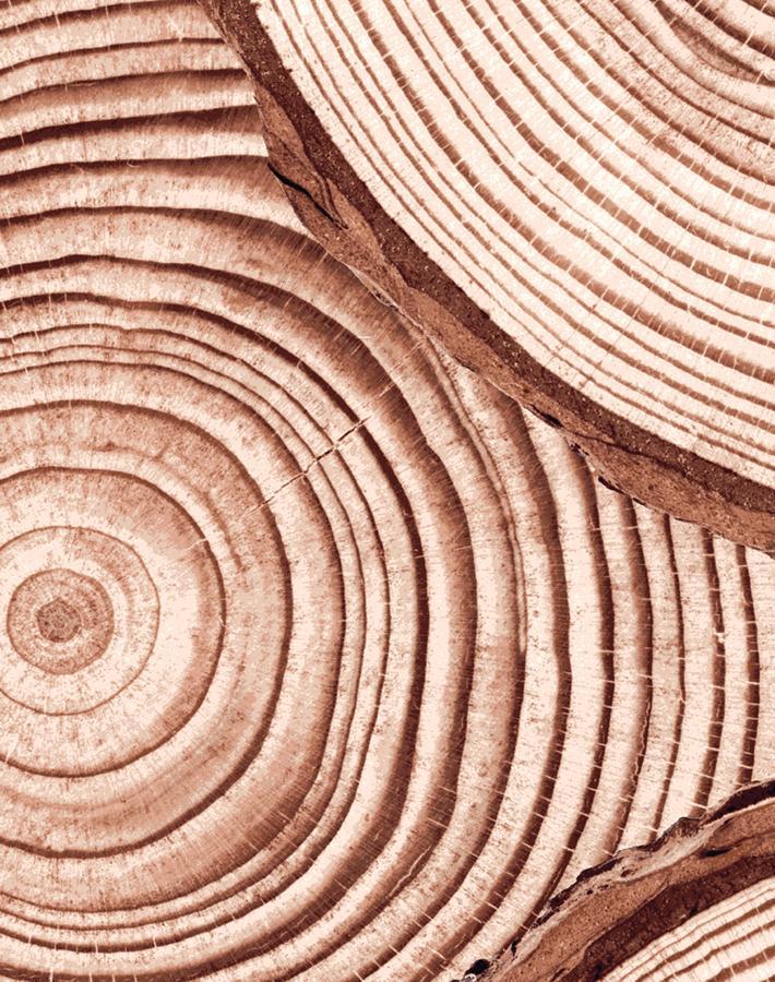 faux-bois-mahogany