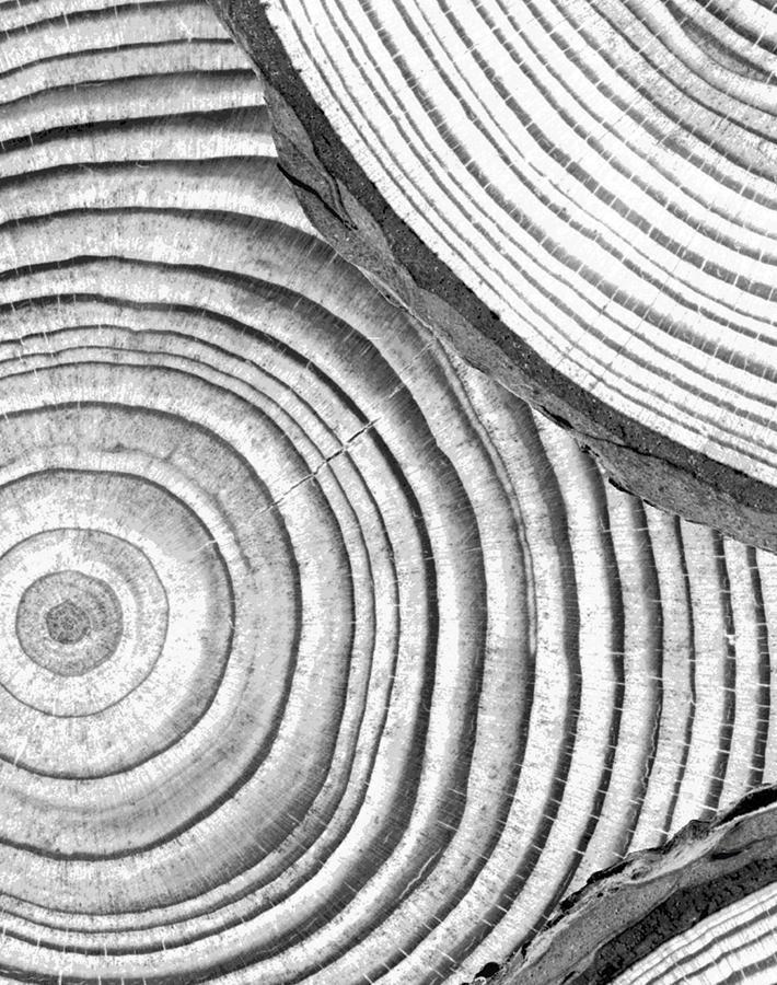 faux-bois-onyx